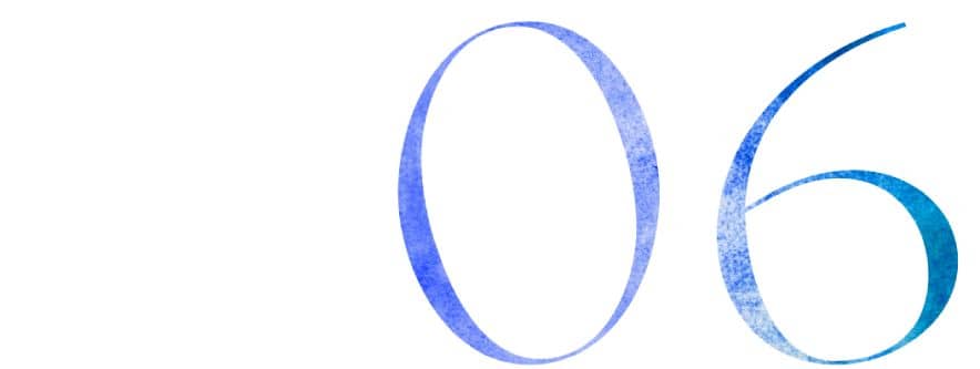 06